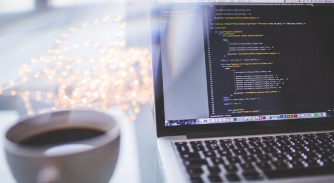 Training Web Programming Jogja