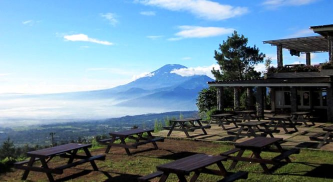 Lokasi Kuliner Di Jogja Yang Wajib Di Kunjungi